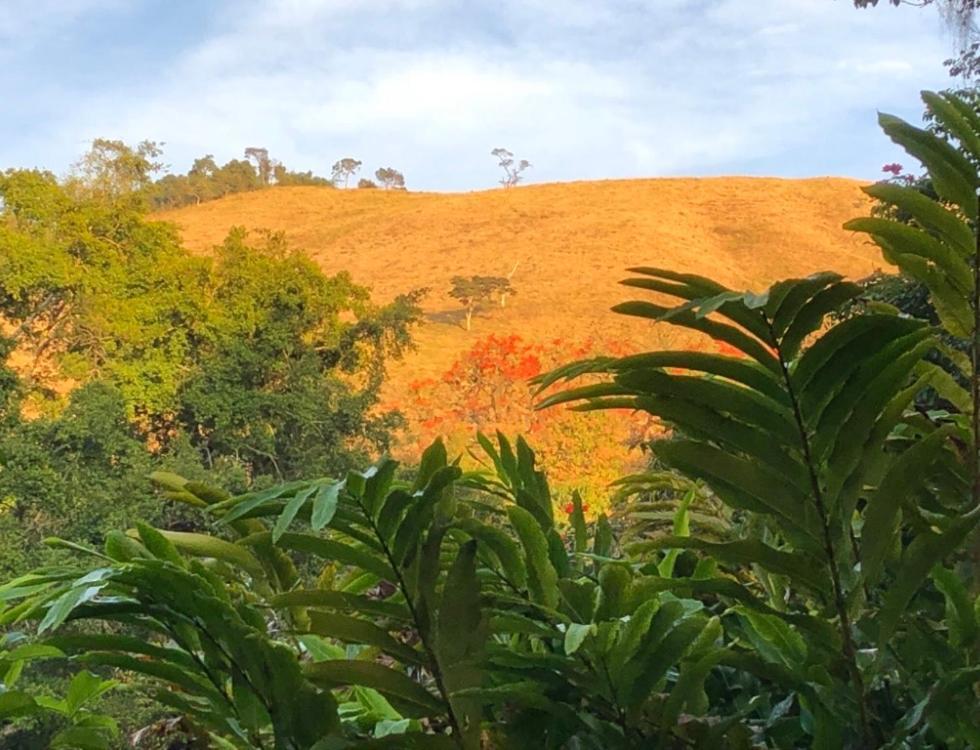 Vivenda Dos Guaranys -Um Projeto Ecologico - Casa Villa Conservatória Dış mekan fotoğraf